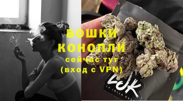 ALPHA PVP Новозыбков