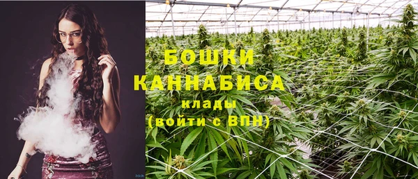 ПСИЛОЦИБИНОВЫЕ ГРИБЫ Новодвинск