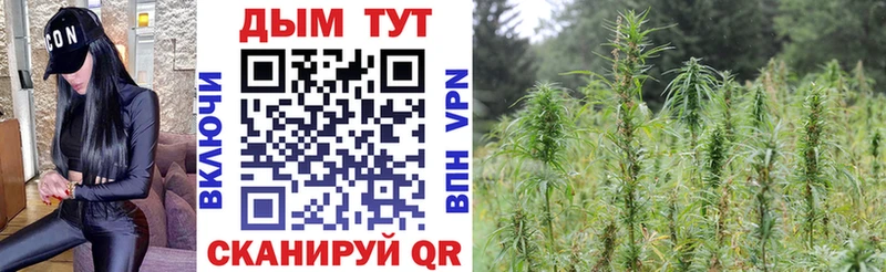 Каннабис индика  Чехов 